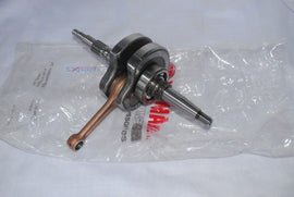 TTR110  Crankshaft Assy