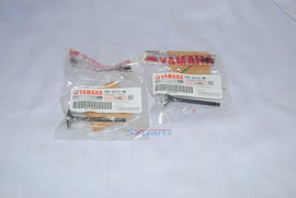 TTR110 Intake & Exhaust Valve