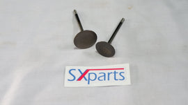 Yamaha TTR 110 Big Valve Set