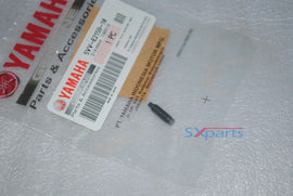 TTR 110 Valve Adjusting Screw