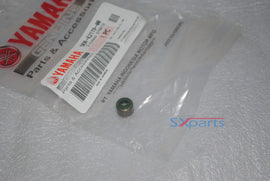 TTR 110 Valve Seal