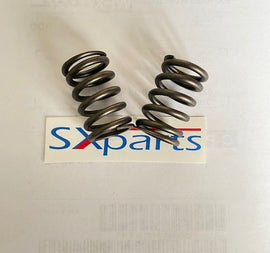 Performance Valve Springs TTR110