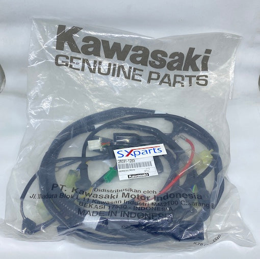 Kawasaki KLX 150 Wiring Main Harness Wire