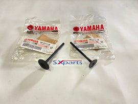 Yamaha FZ16 OEM Intake and Exhaust Valve Set