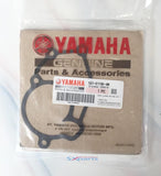 Water Pump Gasket